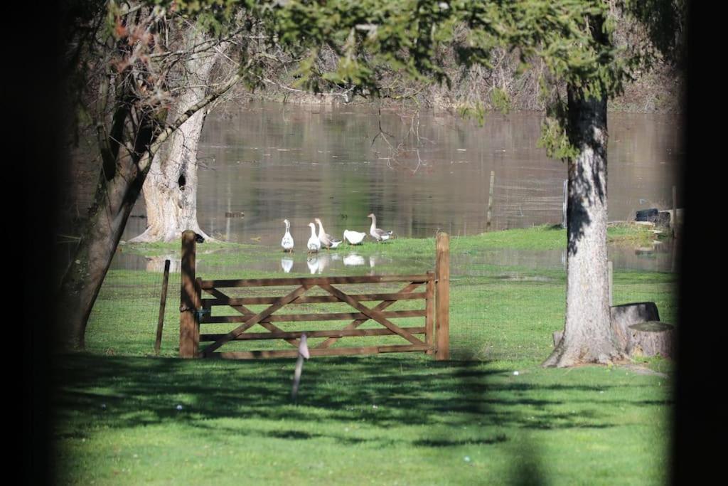 Le Ponton Des Sympetrums * Aurec-Sur-Loire
