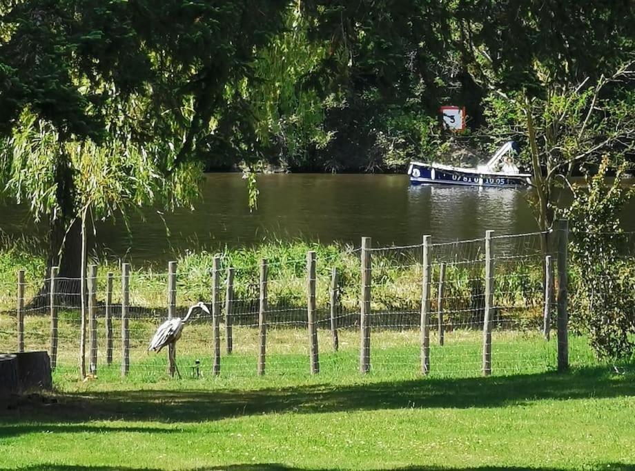 Le Ponton Des Sympetrums Aurec-Sur-Loire